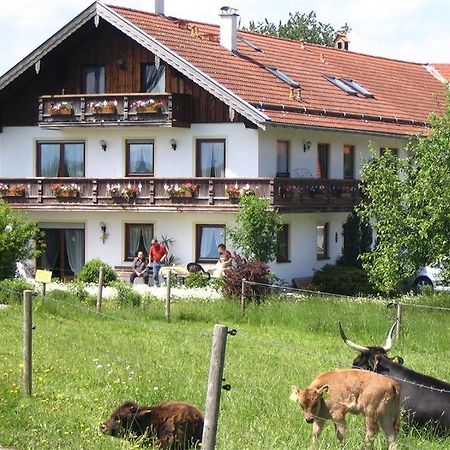 Beim Rieder Apartment Truchtlaching Exterior photo